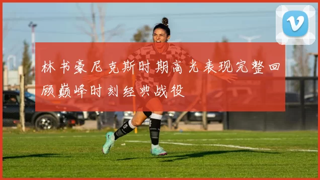 林书豪尼克斯时期高光表现完整回顾巅峰时刻经典战役