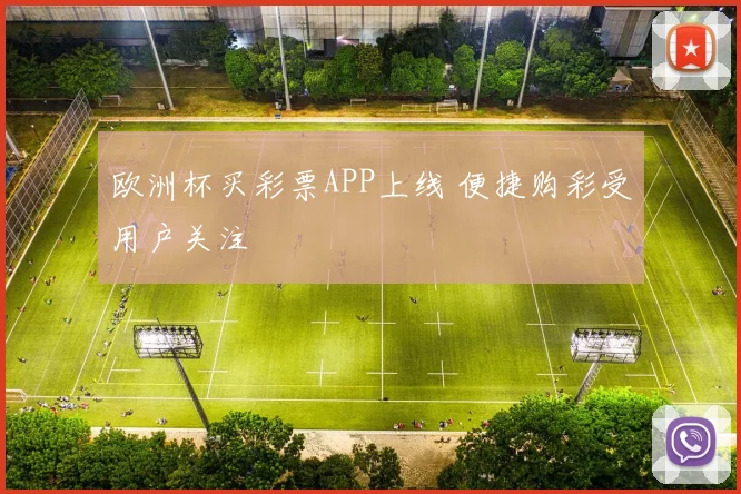 欧洲杯买彩票APP上线 便捷购彩受用户关注