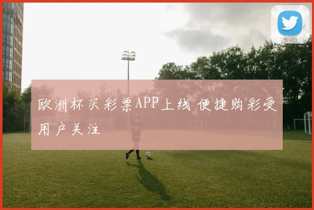 欧洲杯买彩票APP上线 便捷购彩受用户关注