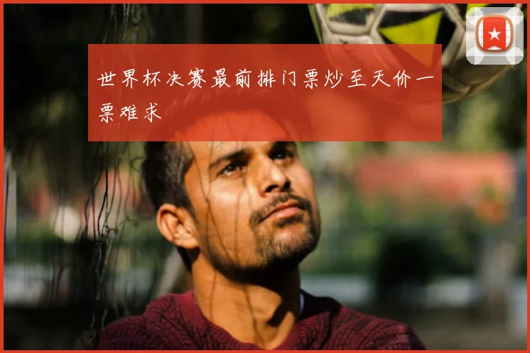世界杯决赛最前排门票炒至天价一票难求