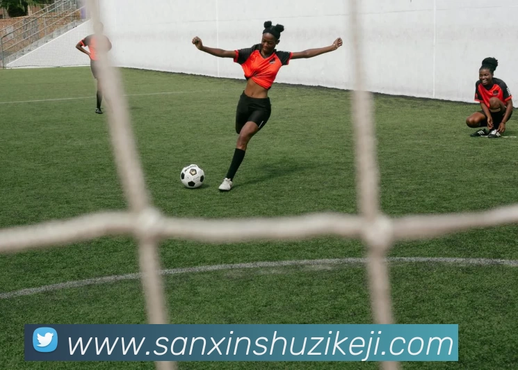 B体育·(B - sports)官方网站平台生态图